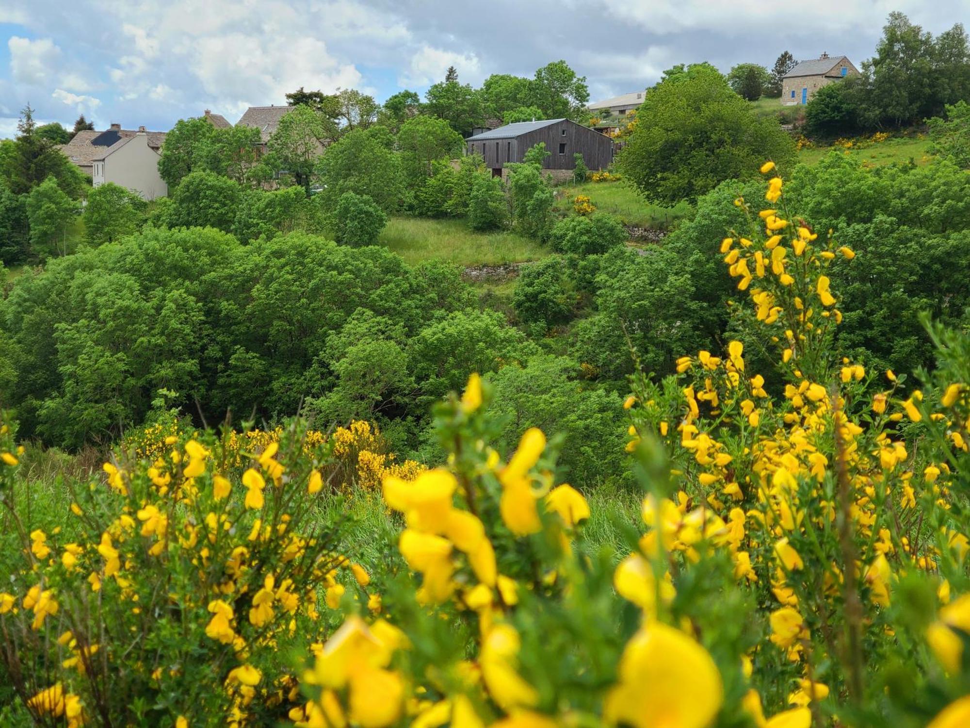 Gites La Boletiere Saint-Étienne-du-Valdonnez Exteriér fotografie