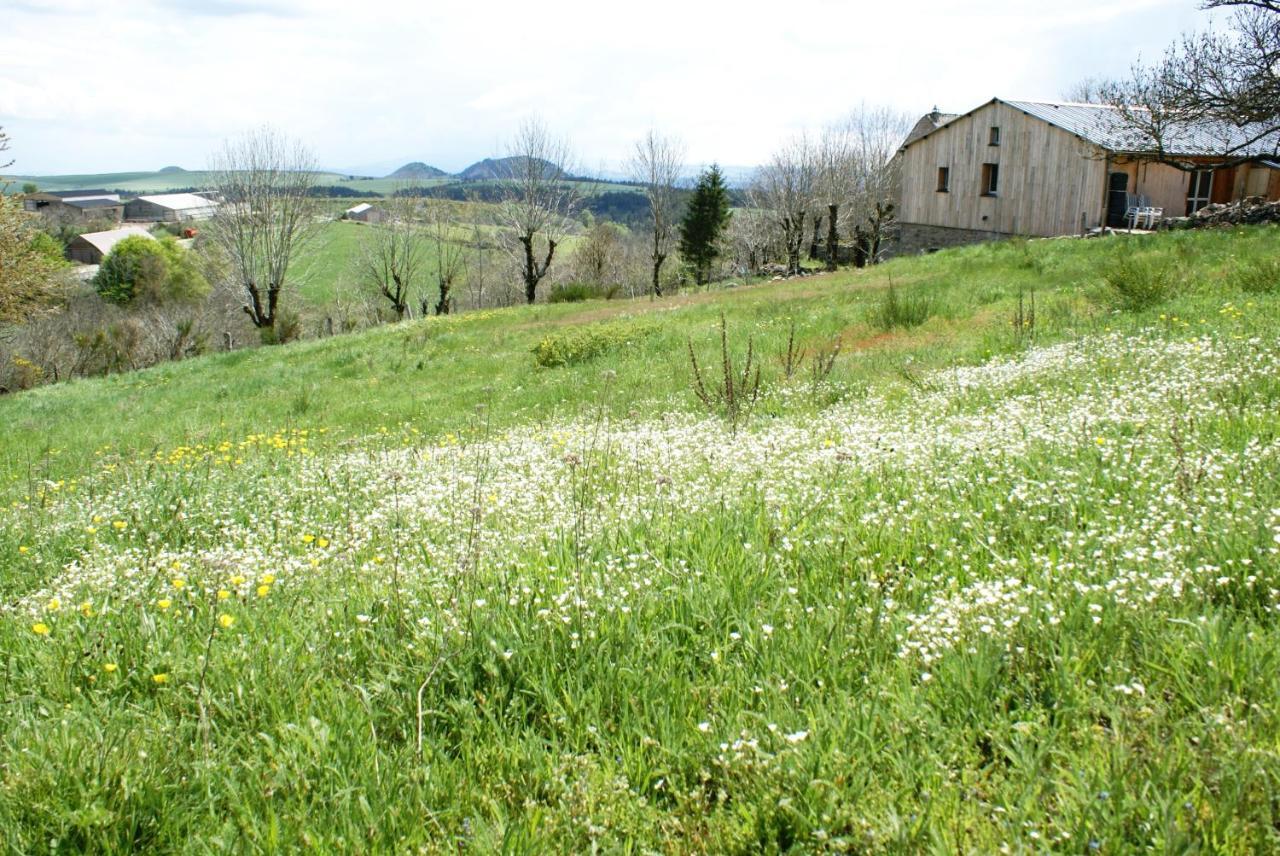 Gites La Boletiere Saint-Étienne-du-Valdonnez Exteriér fotografie